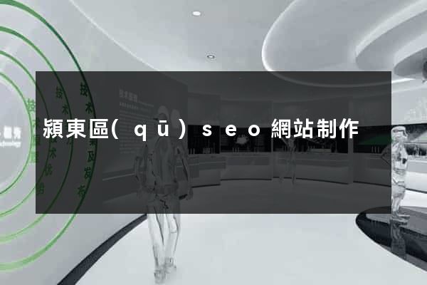 潁東區(qū)seo網站制作