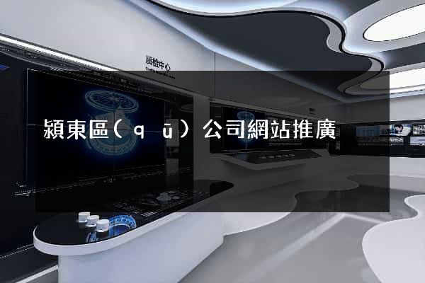 潁東區(qū)公司網站推廣