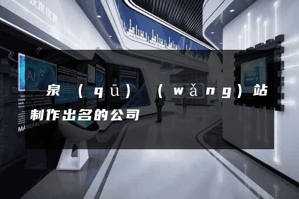 潁泉區(qū)網(wǎng)站制作出名的公司