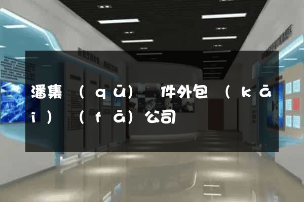 潘集區(qū)軟件外包開(kāi)發(fā)公司