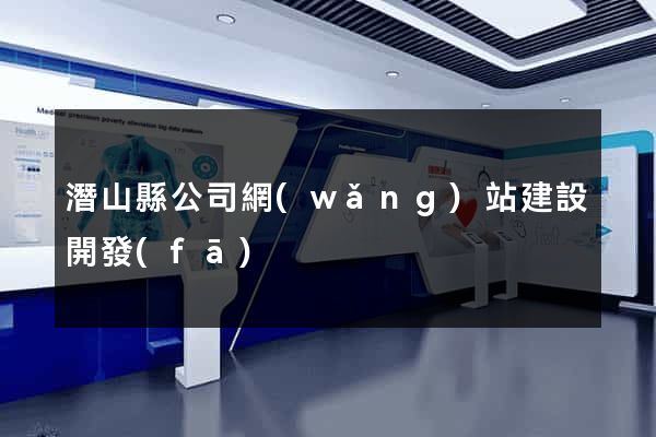 潛山縣公司網(wǎng)站建設開發(fā)
