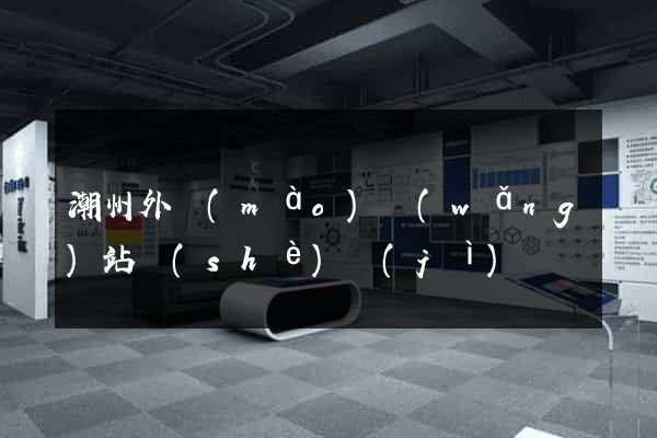 潮州外貿(mào)網(wǎng)站設(shè)計(jì)