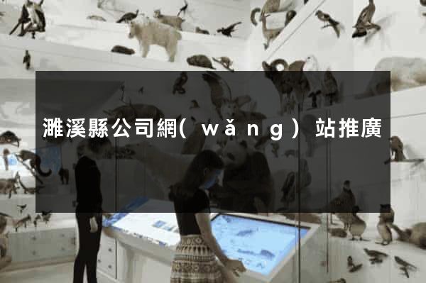濉溪縣公司網(wǎng)站推廣
