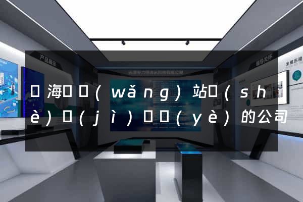 濱?？h網(wǎng)站設(shè)計(jì)專業(yè)的公司