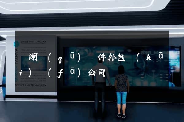 濱湖區(qū)軟件外包開(kāi)發(fā)公司