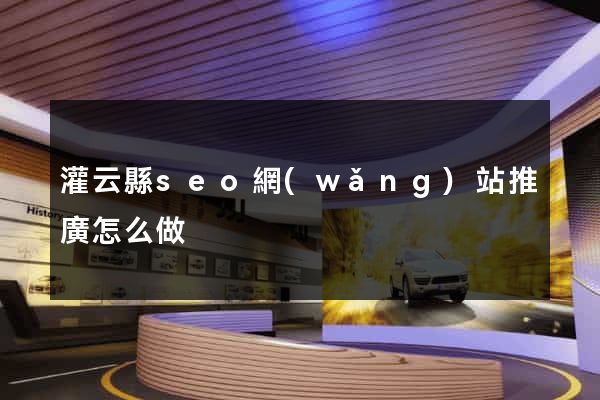灌云縣seo網(wǎng)站推廣怎么做