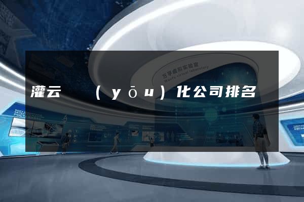 灌云縣優(yōu)化公司排名