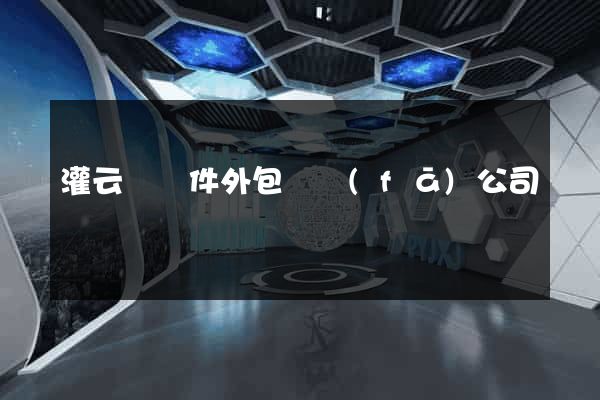 灌云縣軟件外包開發(fā)公司