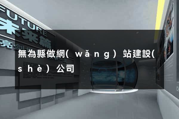 無為縣做網(wǎng)站建設(shè)公司