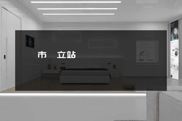 無錫市獨立站運營