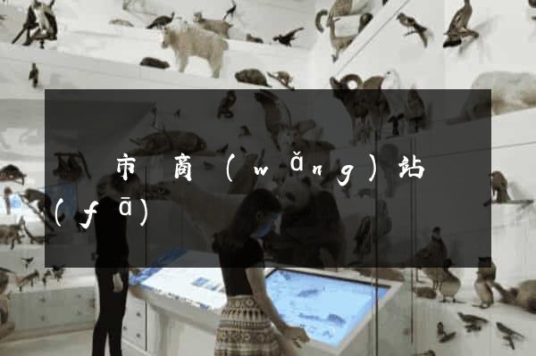 無錫市電商網(wǎng)站開發(fā)