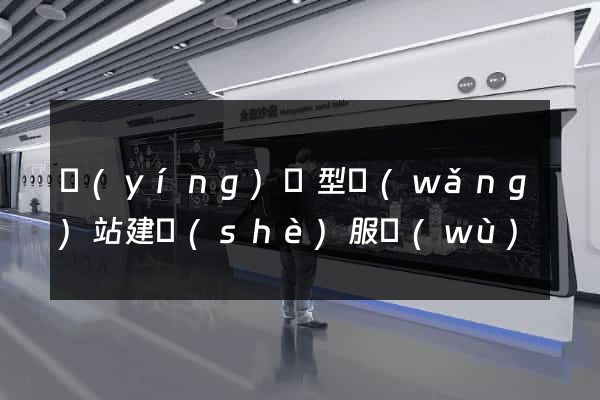 營(yíng)銷型網(wǎng)站建設(shè)服務(wù)