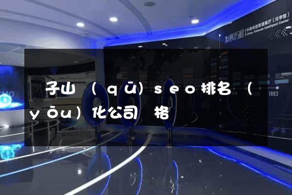 獅子山區(qū)seo排名優(yōu)化公司價格