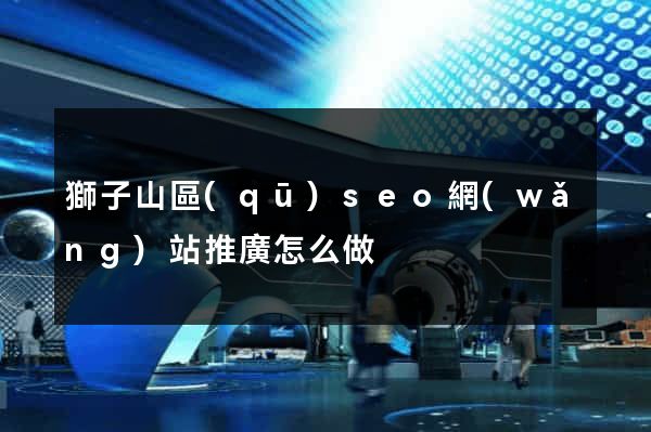 獅子山區(qū)seo網(wǎng)站推廣怎么做