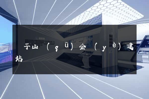 獅子山區(qū)企業(yè)建站