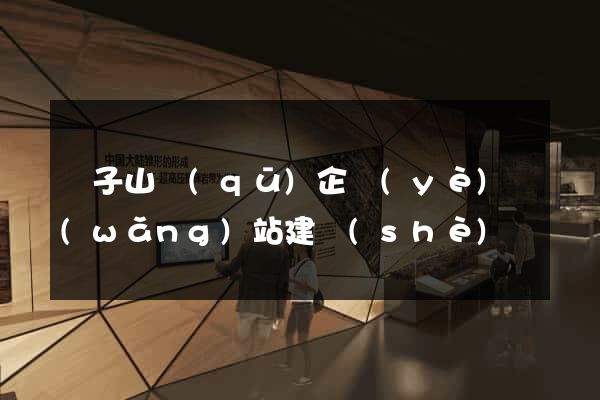獅子山區(qū)企業(yè)網(wǎng)站建設(shè)