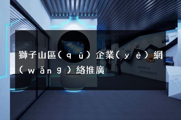 獅子山區(qū)企業(yè)網(wǎng)絡推廣