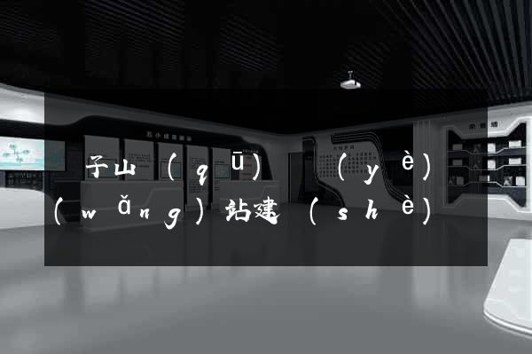 獅子山區(qū)專業(yè)網(wǎng)站建設(shè)