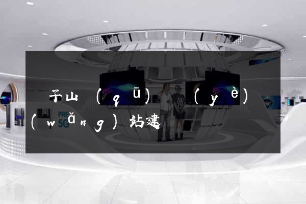獅子山區(qū)專業(yè)網(wǎng)站建設