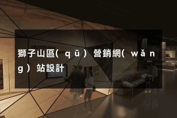獅子山區(qū)營銷網(wǎng)站設計