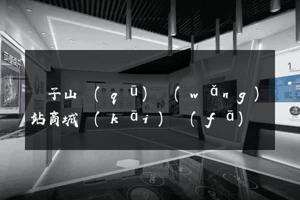 獅子山區(qū)網(wǎng)站商城開(kāi)發(fā)