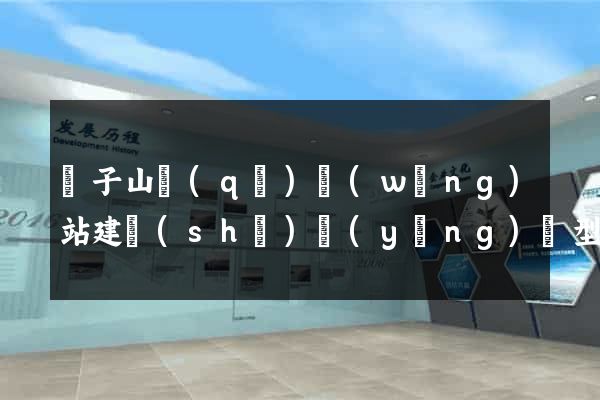 獅子山區(qū)網(wǎng)站建設(shè)營(yíng)銷型