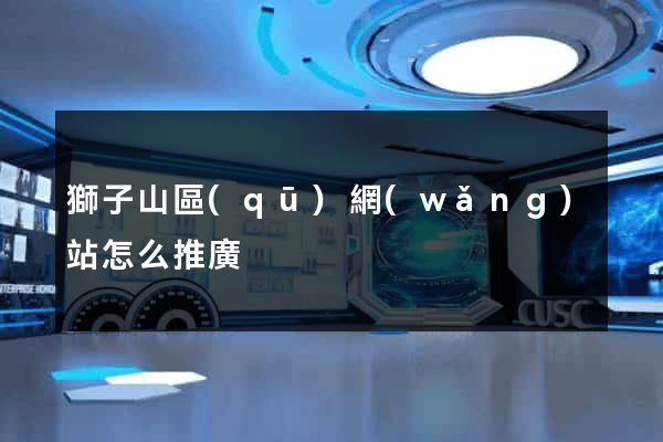獅子山區(qū)網(wǎng)站怎么推廣