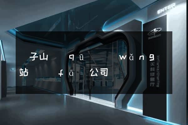 獅子山區(qū)網(wǎng)站開發(fā)公司