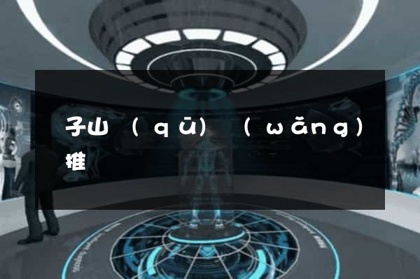 獅子山區(qū)網(wǎng)絡推廣
