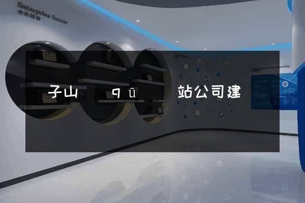 獅子山區(qū)網站公司建設