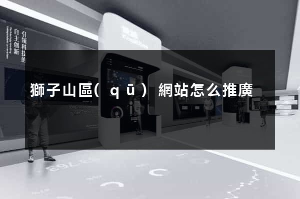 獅子山區(qū)網站怎么推廣