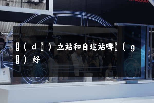獨(dú)立站和自建站哪個(gè)好