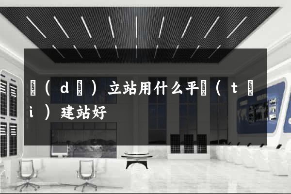 獨(dú)立站用什么平臺(tái)建站好