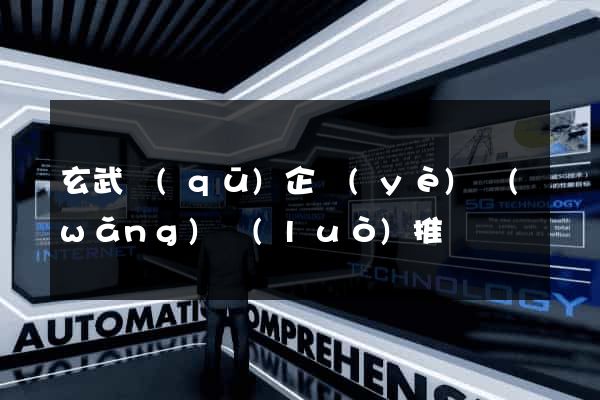 玄武區(qū)企業(yè)網(wǎng)絡(luò)推廣
