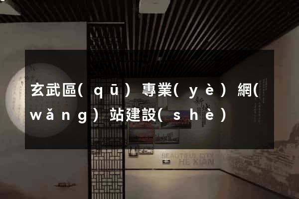 玄武區(qū)專業(yè)網(wǎng)站建設(shè)