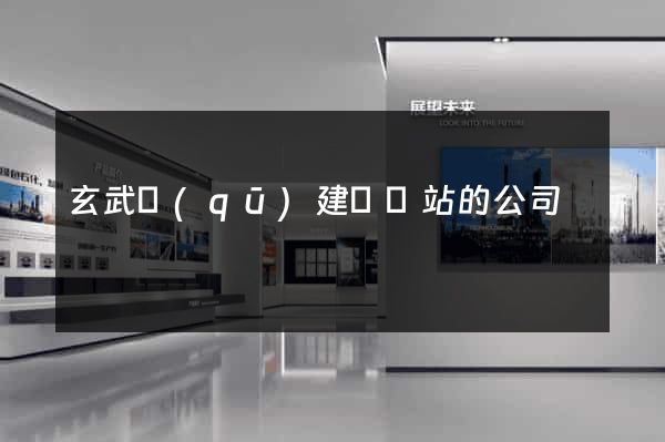 玄武區(qū)建設網站的公司