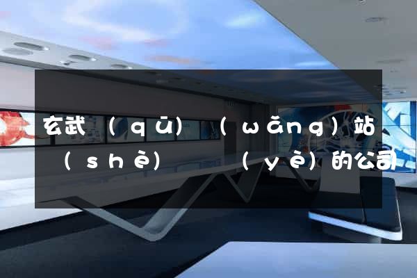 玄武區(qū)網(wǎng)站設(shè)計專業(yè)的公司