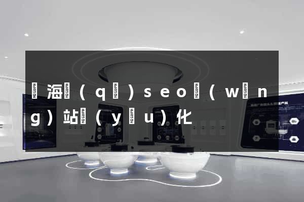 瑤海區(qū)seo網(wǎng)站優(yōu)化