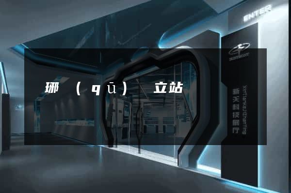 瑯琊區(qū)獨立站運營