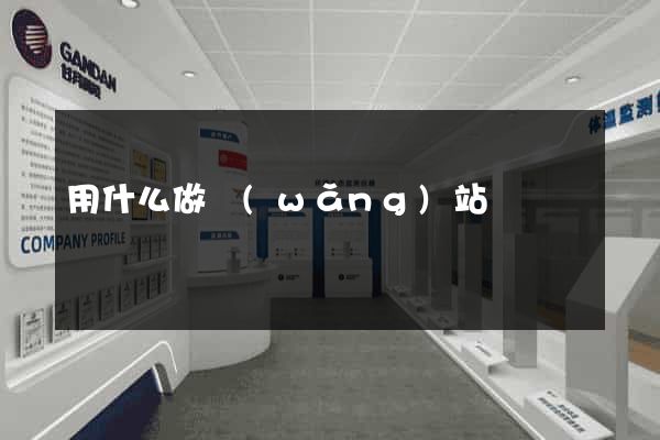 用什么做網(wǎng)站