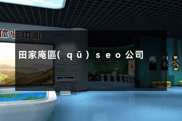 田家庵區(qū)seo公司