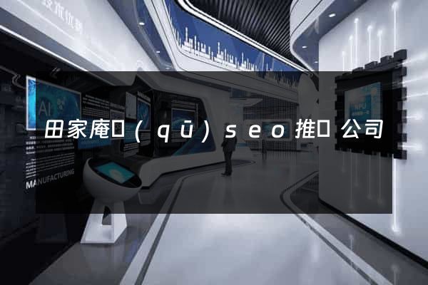 田家庵區(qū)seo推廣公司