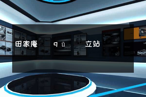田家庵區(qū)獨立站運營