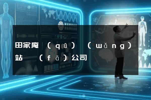 田家庵區(qū)網(wǎng)站開發(fā)公司