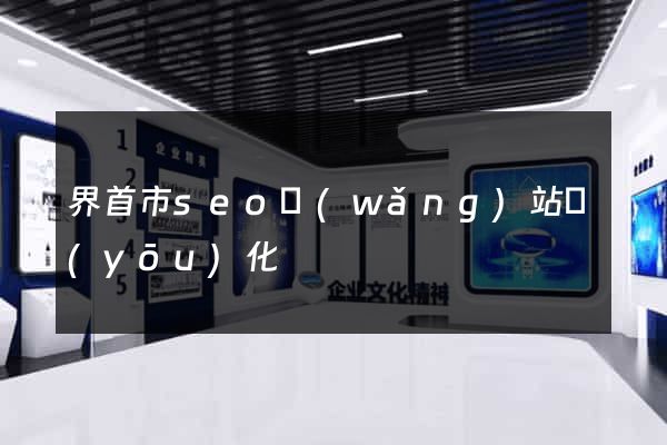 界首市seo網(wǎng)站優(yōu)化