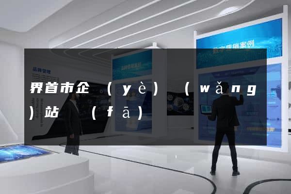 界首市企業(yè)網(wǎng)站開發(fā)