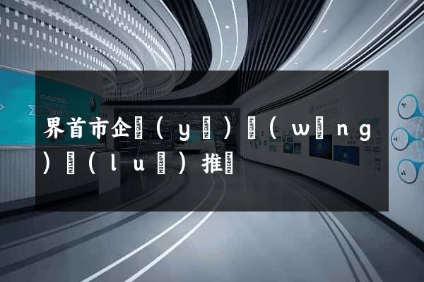 界首市企業(yè)網(wǎng)絡(luò)推廣