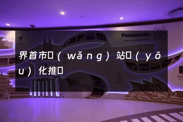 界首市網(wǎng)站優(yōu)化推廣