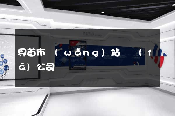界首市網(wǎng)站開發(fā)公司
