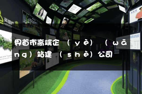界首市高端企業(yè)網(wǎng)站建設(shè)公司